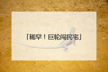 稀罕！巨轮闯民宅